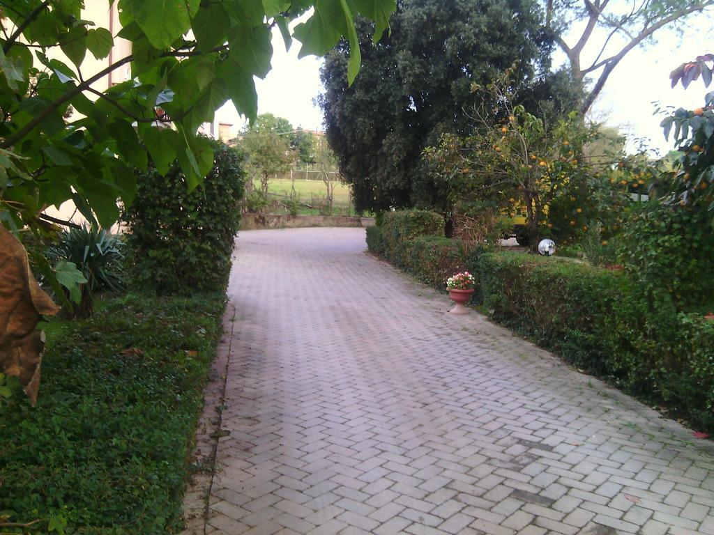 Agriturismo Artisti Del Cavallo *