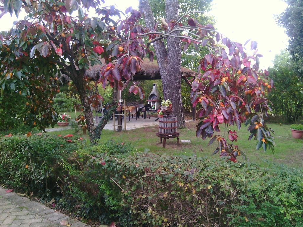 Artisti Del Cavallo Vakantieboerderij *