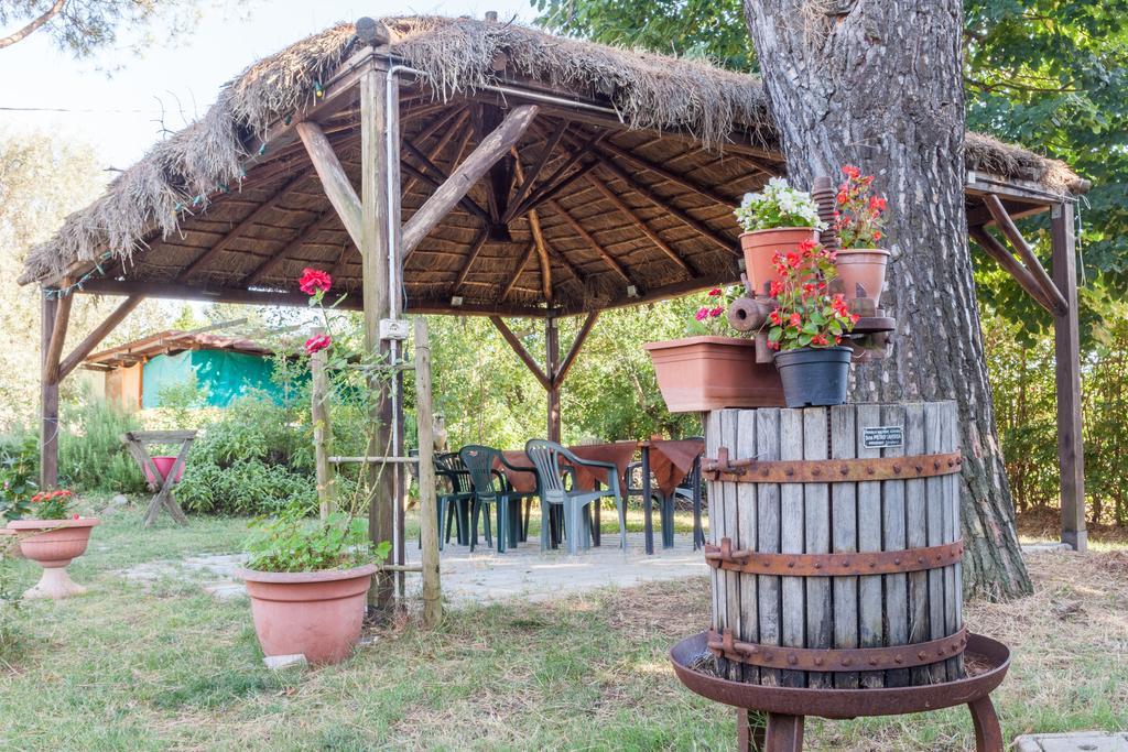 Vakantieboerderij Artisti Del Cavallo